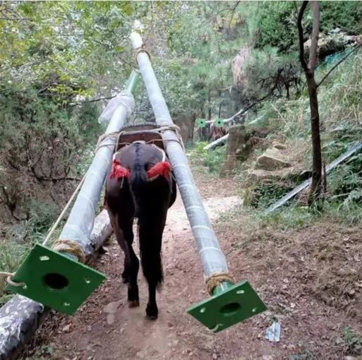 江西骡马运输队