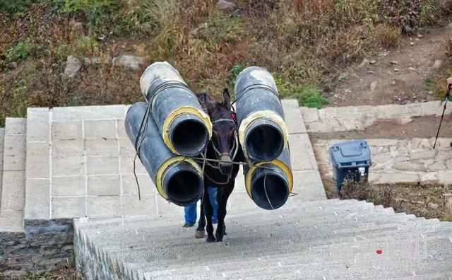 江西马帮运输